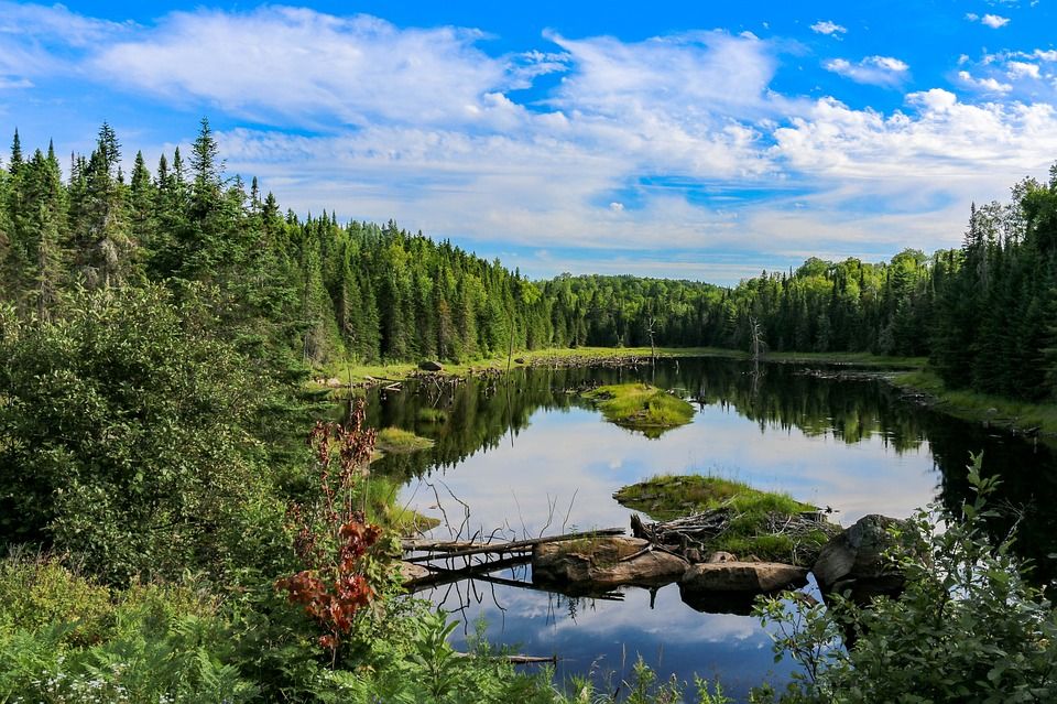 Прича о води