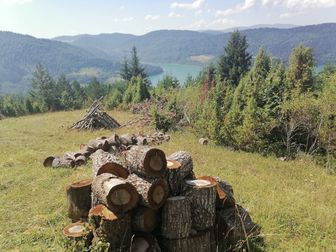 Златарски Декамерон, дан седми: Јасеново